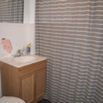 1108 1/2 E 5th Street - Duluth apartment - bathroom