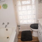 810 East 8th Street - Duluth apartment - bathroom